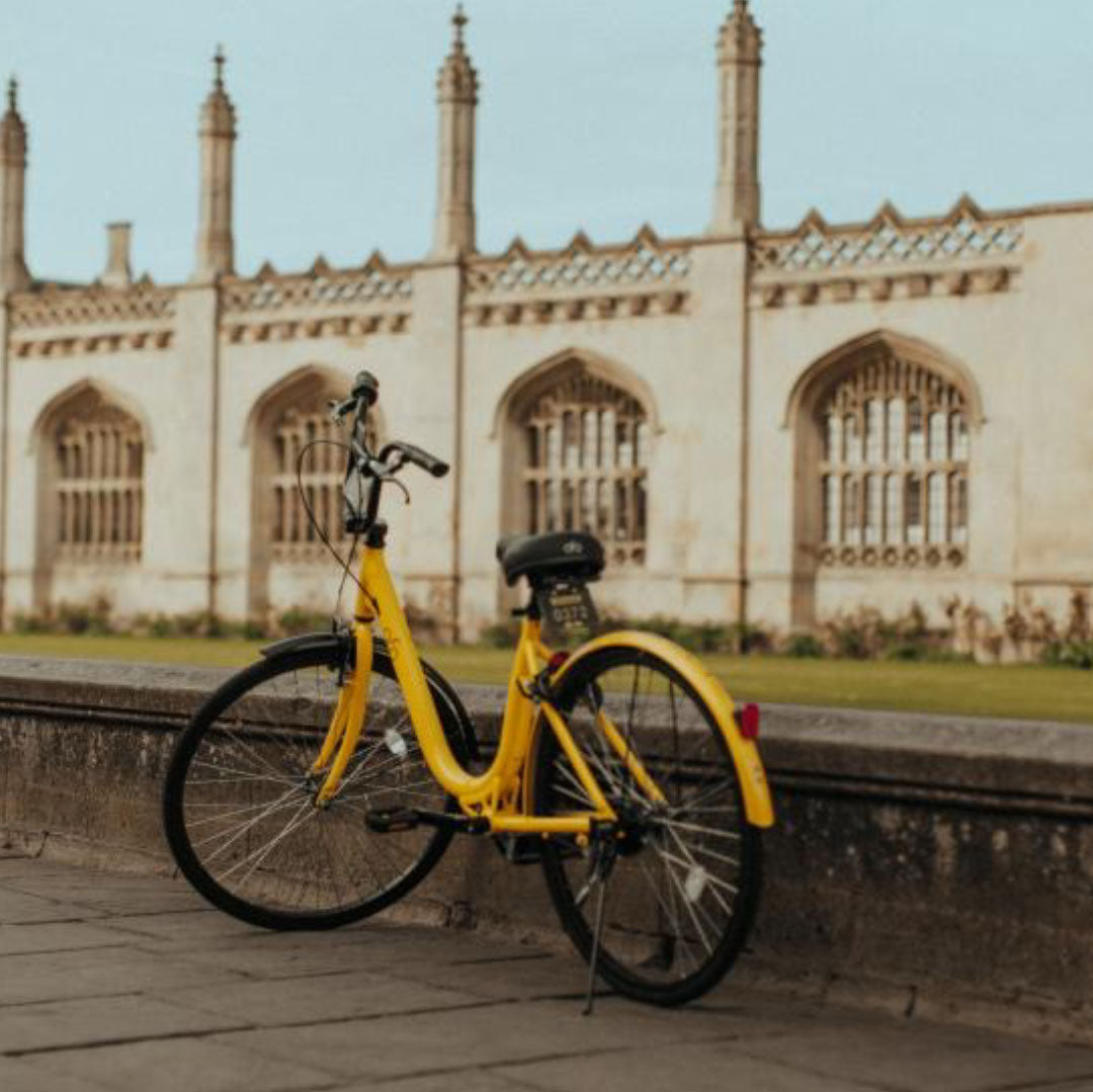 Viaje a Cambridge: Filosofía y Robótica